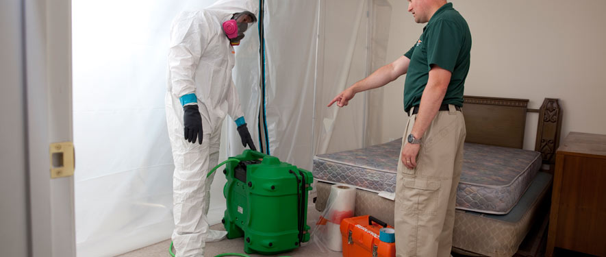 Norwalk, CT mold removal process
